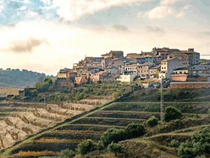 Spain for Bodega de Edgar land tour